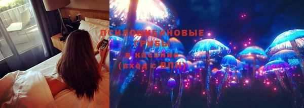 альфа пвп Бородино